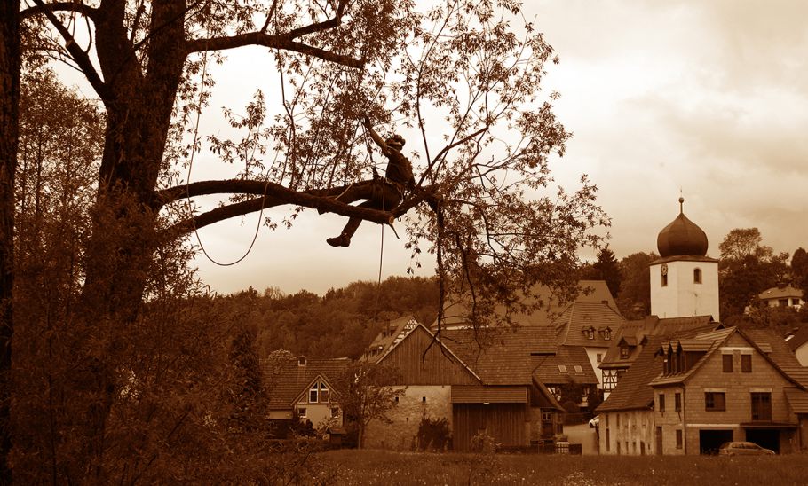 Baumpfleger in Seilklettertechnik arbeitet in der Baumkrone über einem Dorf