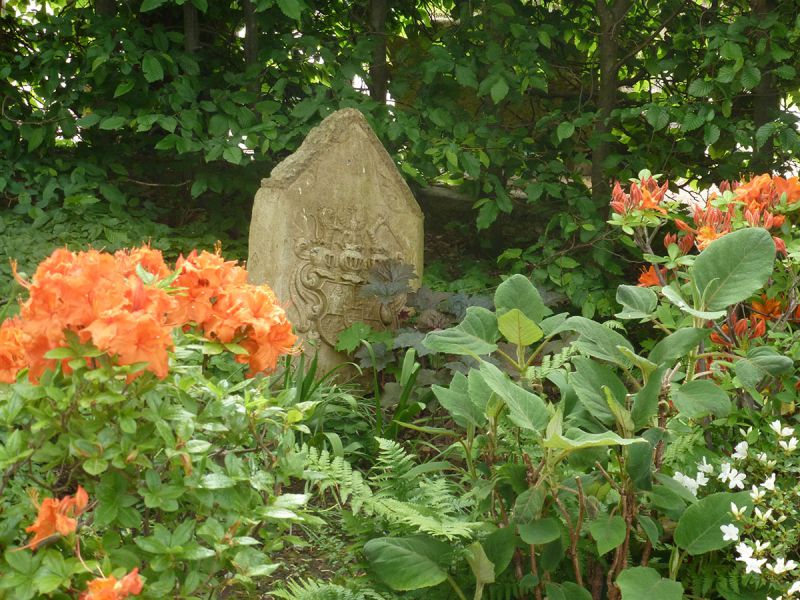 Blühendes Staudenbeet mit Rhododendron und Naturstein im Garten